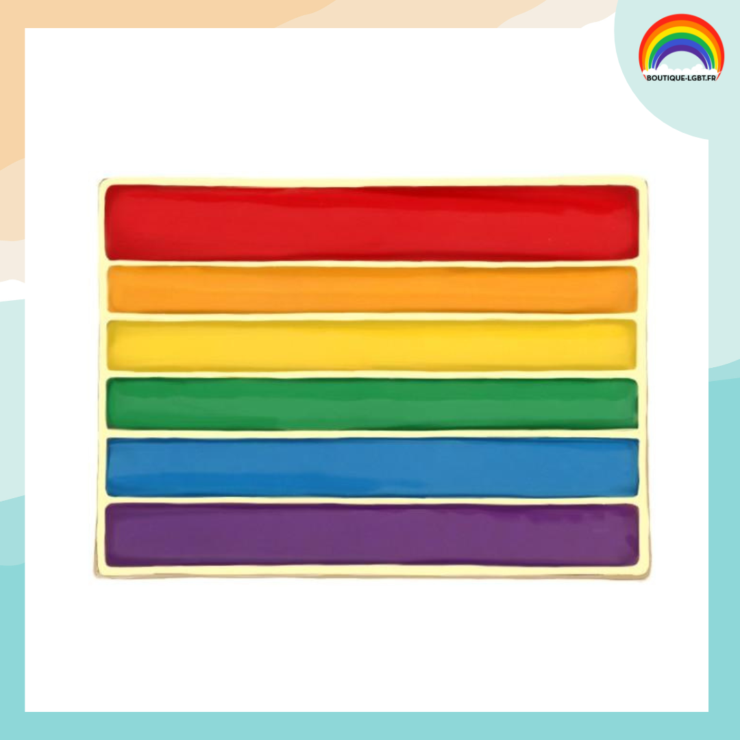 Pins double drapeaux lgbtqia+ gay et transexuel chez Freaky Pink shop